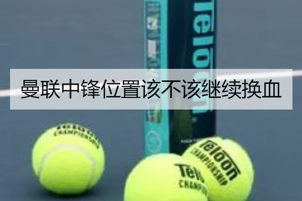 曼联中锋位置该不该继续换血